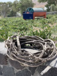 Artemis Karamolegos Winery