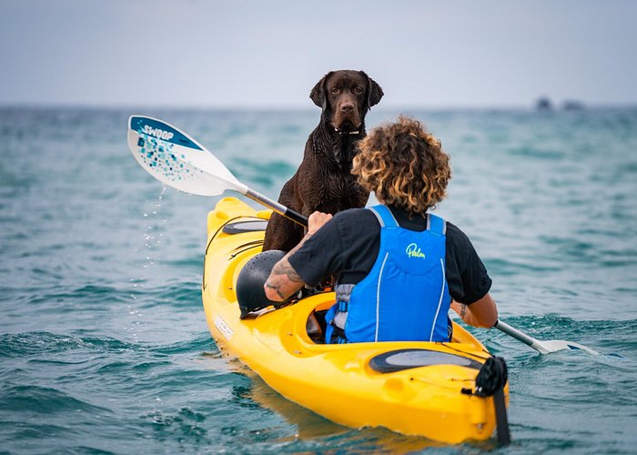 Small-Group Santorini Sea Caves Kayak Trip with Snorkeling & Picnic